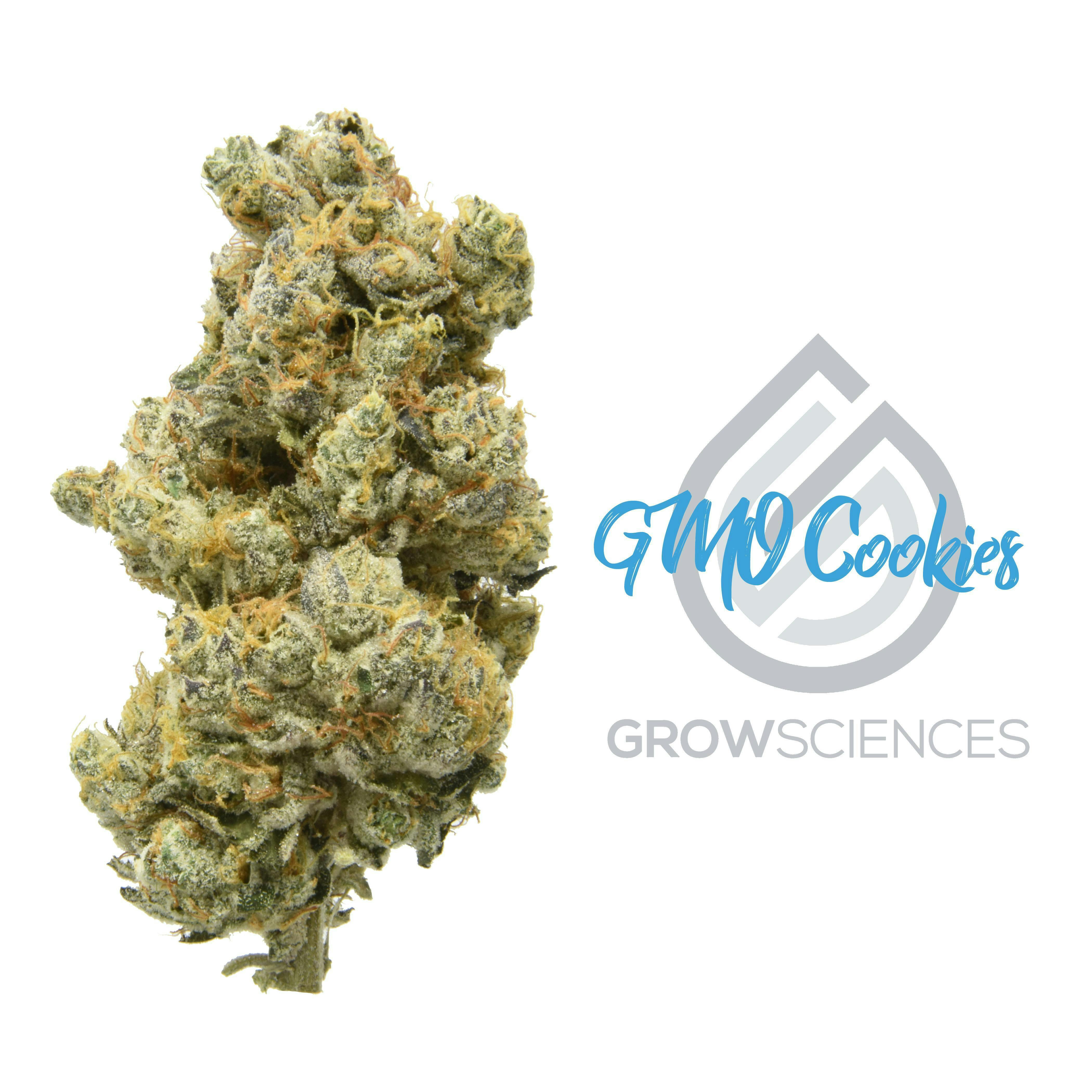 Grow Sciences - GMO Cookies - 1