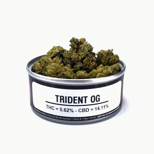 Space Monkey Meds - Trident OG (Greenhouse) - 1