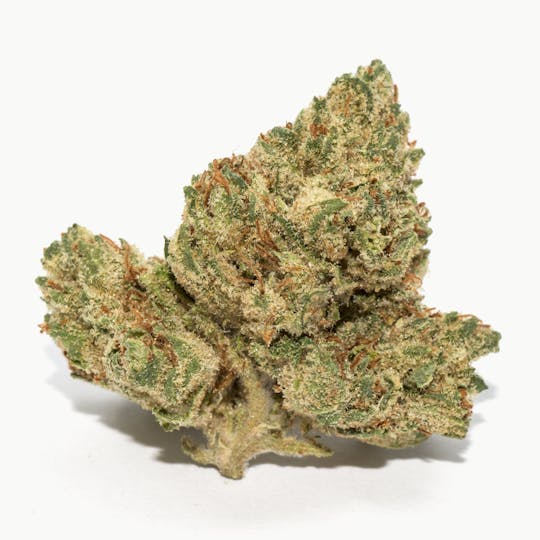 Natty Rems - Skywalker - 1