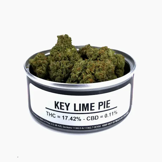 Space Monkey Meds - Key Lime Pie (Greenhouse) - 1