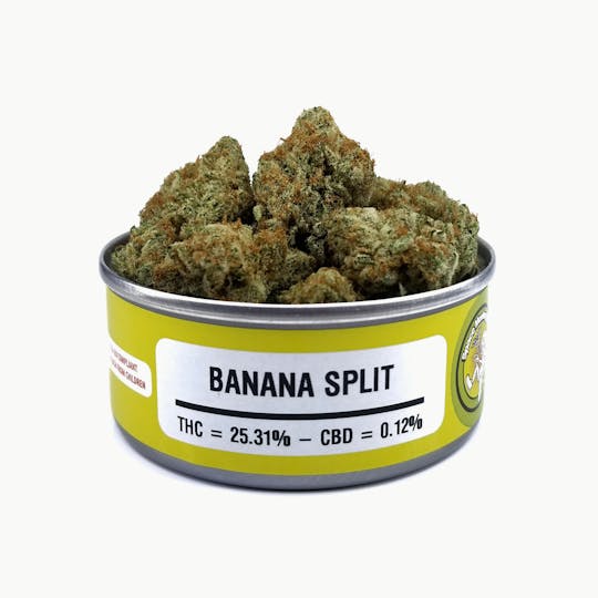 Space Monkey Meds - Banana Split - 1