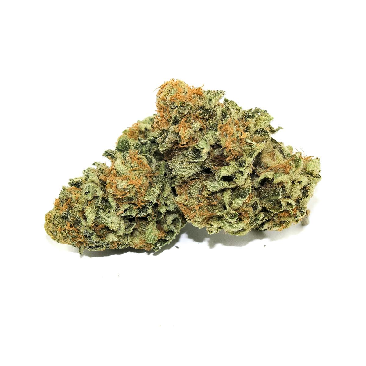 Pine Street Cannabis Company - Pine Street | Critical Kush | Flower - 1