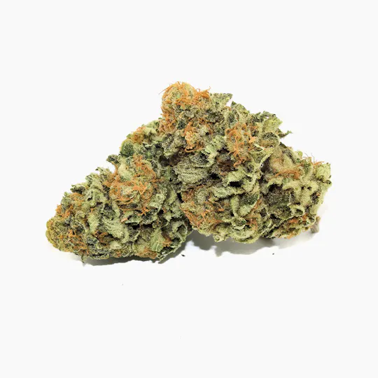 Pine Street Cannabis Company - Pine Street | Critical Kush | Flower - 1