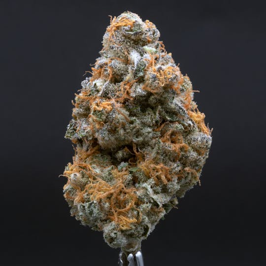 CRU Cannabis - Do-Si-Dos (3.5 Grams) - 1