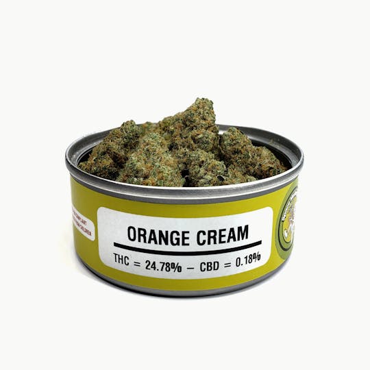Space Monkey Meds - Orange Cream - 1