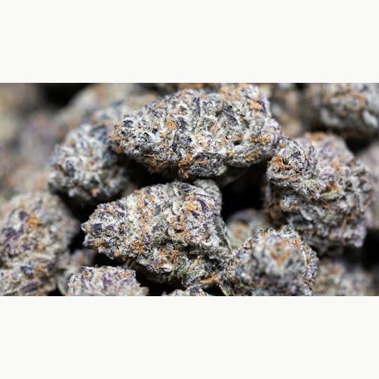High Tide Organics - Purple Punch - 1