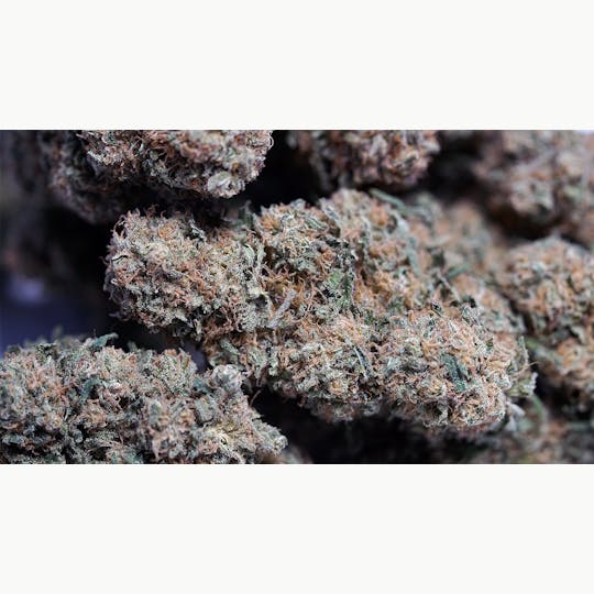 High Tide Organics - Lambs Bread - 1