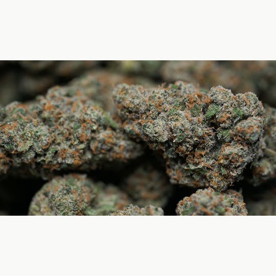 High Tide Organics - XJ-13 - 1