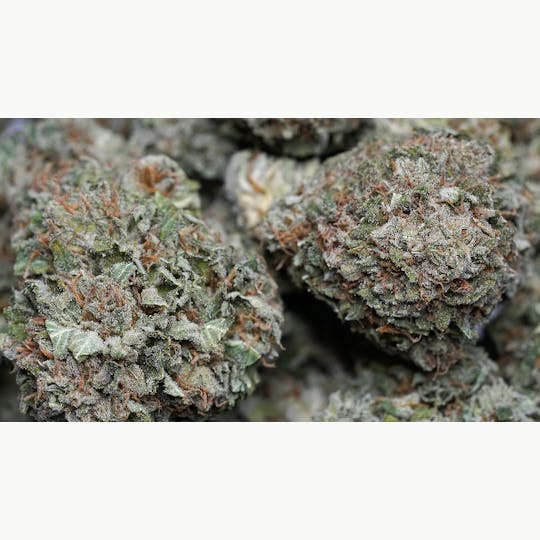 High Tide Organics - Tangie - 1