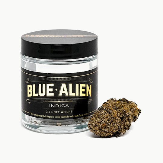 Green & Gold Supply Co. - Blue Alien - 1