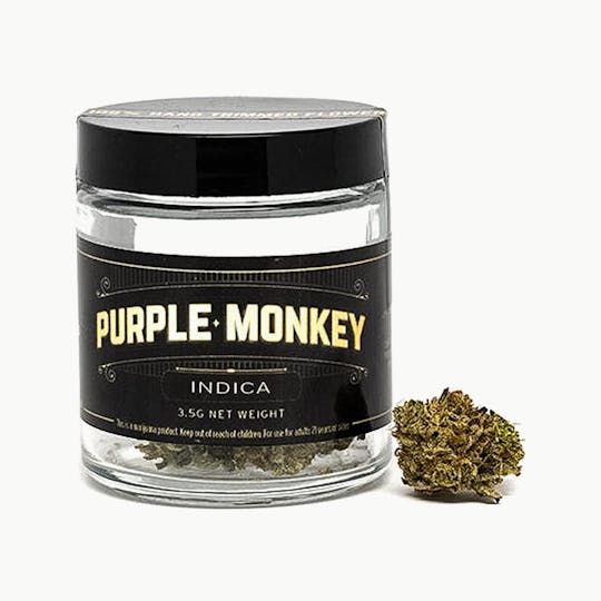 Green & Gold Supply Co. - Purple Monkey - 1