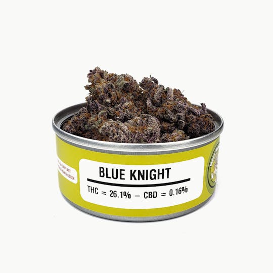 Space Monkey Meds - Blue Knight - 1