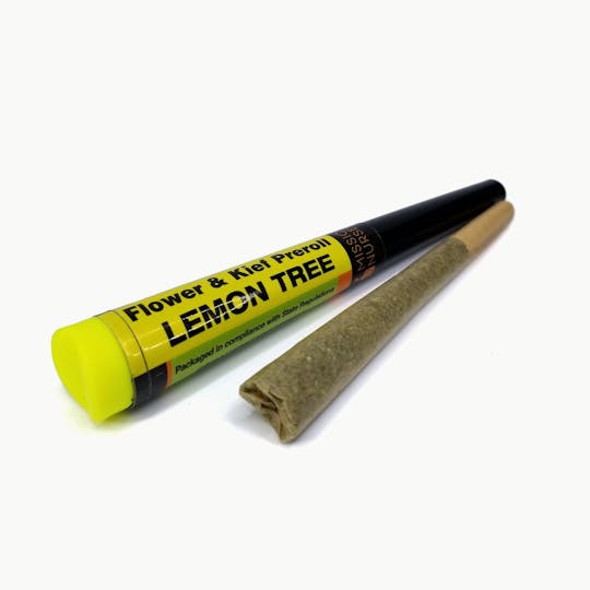 Space Monkey Meds - Lemon Tree - Flower and Kief Pre-Roll - 1