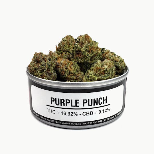 Space Monkey Meds - Purple Punch (Greenhouse) - 1