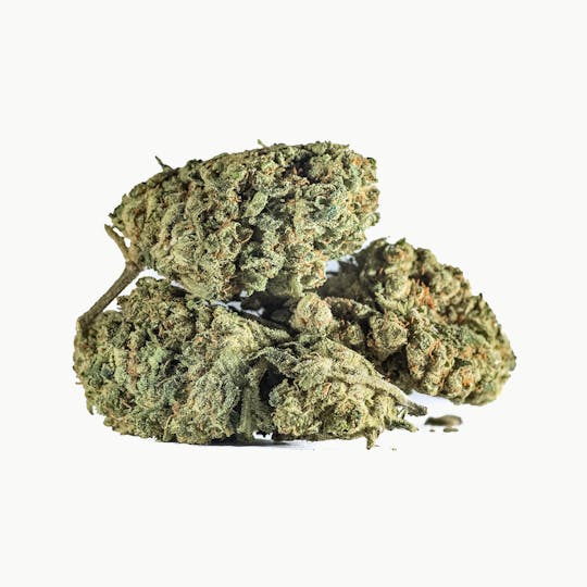 MamaMary Cannabis - BioShiva Limited Edition - 1