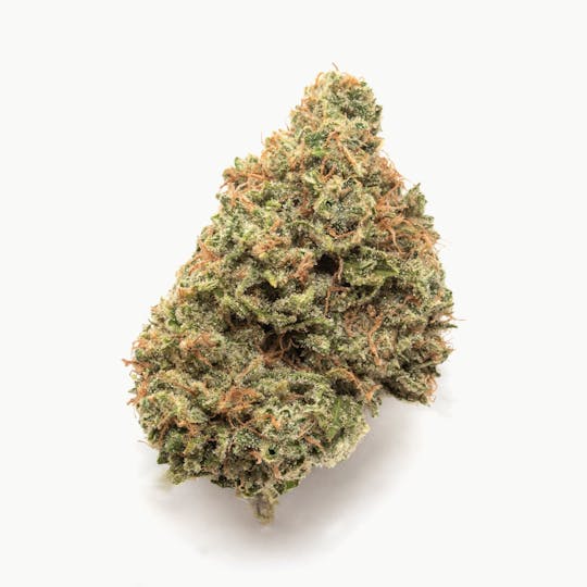 Natty Rems - Cinderella 99 x The White - 1