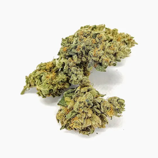 Genetica Seeds - V1 CBD - Indoor - 1