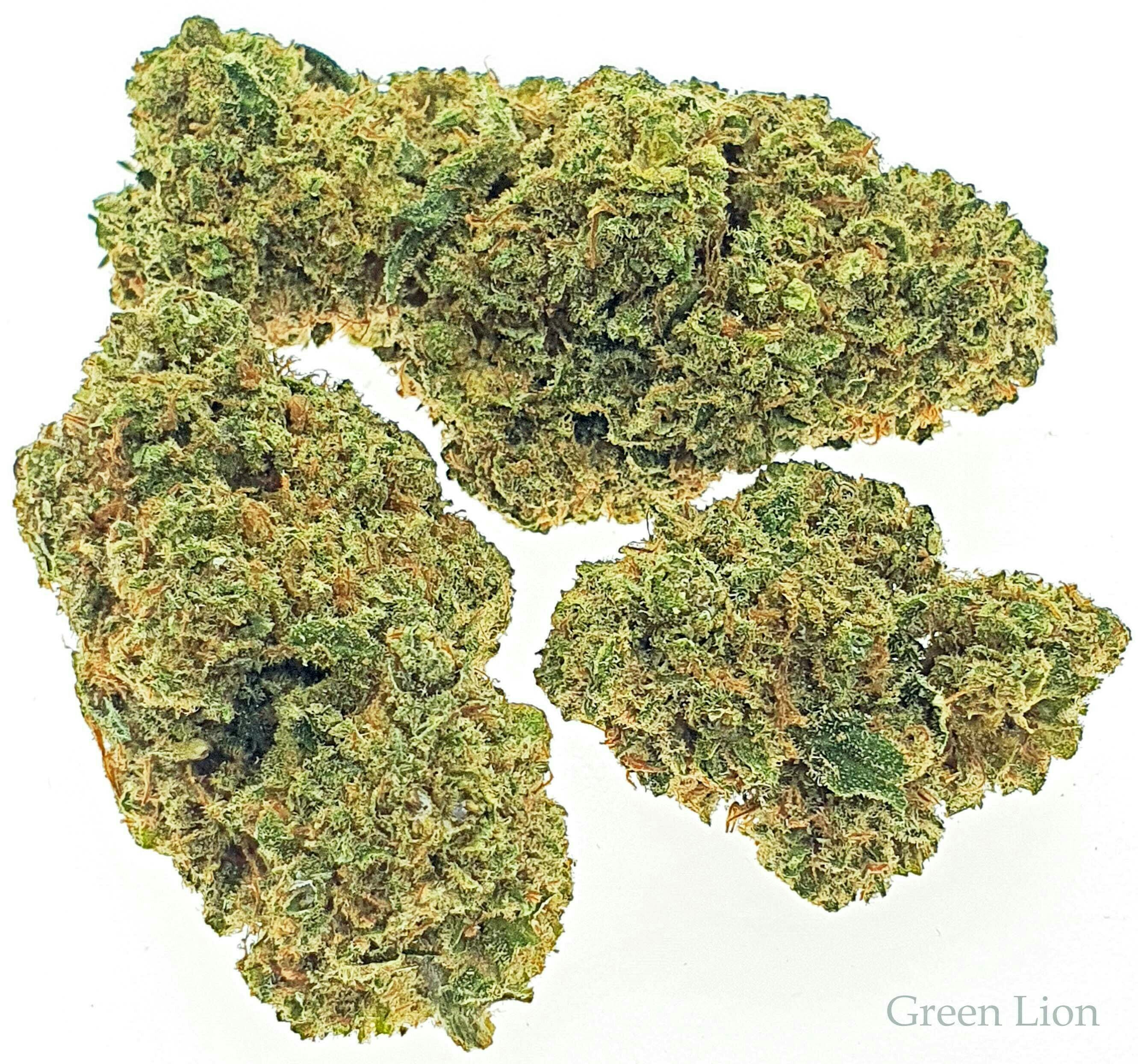 Green Lion - Green Lion Gold Haze - 1