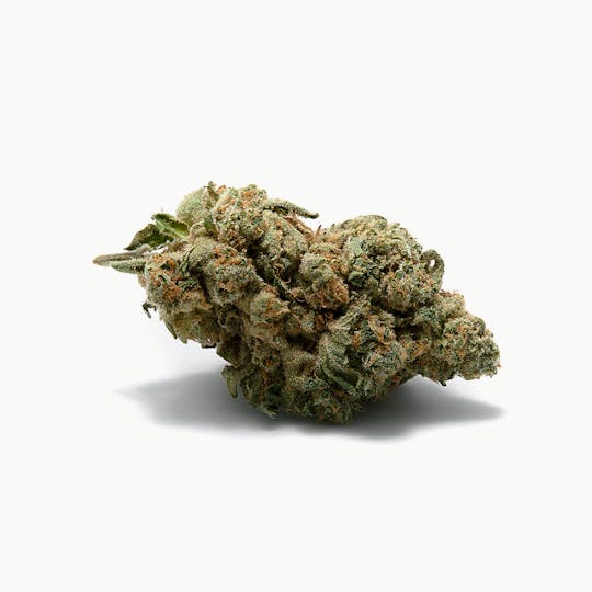 Tryke - White Tahoe Cookies - 1