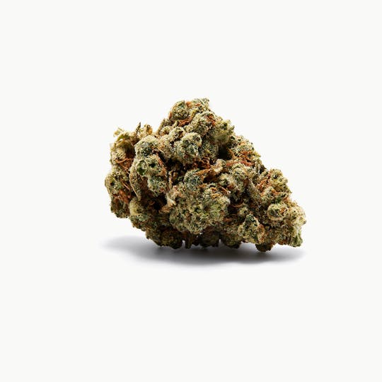 Tryke - Cherry Cookie Haze - 1
