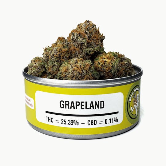 Space Monkey Meds - Grapeland - 1