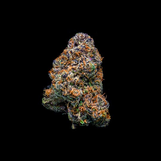 CommCan - Pacifier x Apple Juice - 1