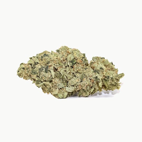 Elevation 207 - Night Terror - 1