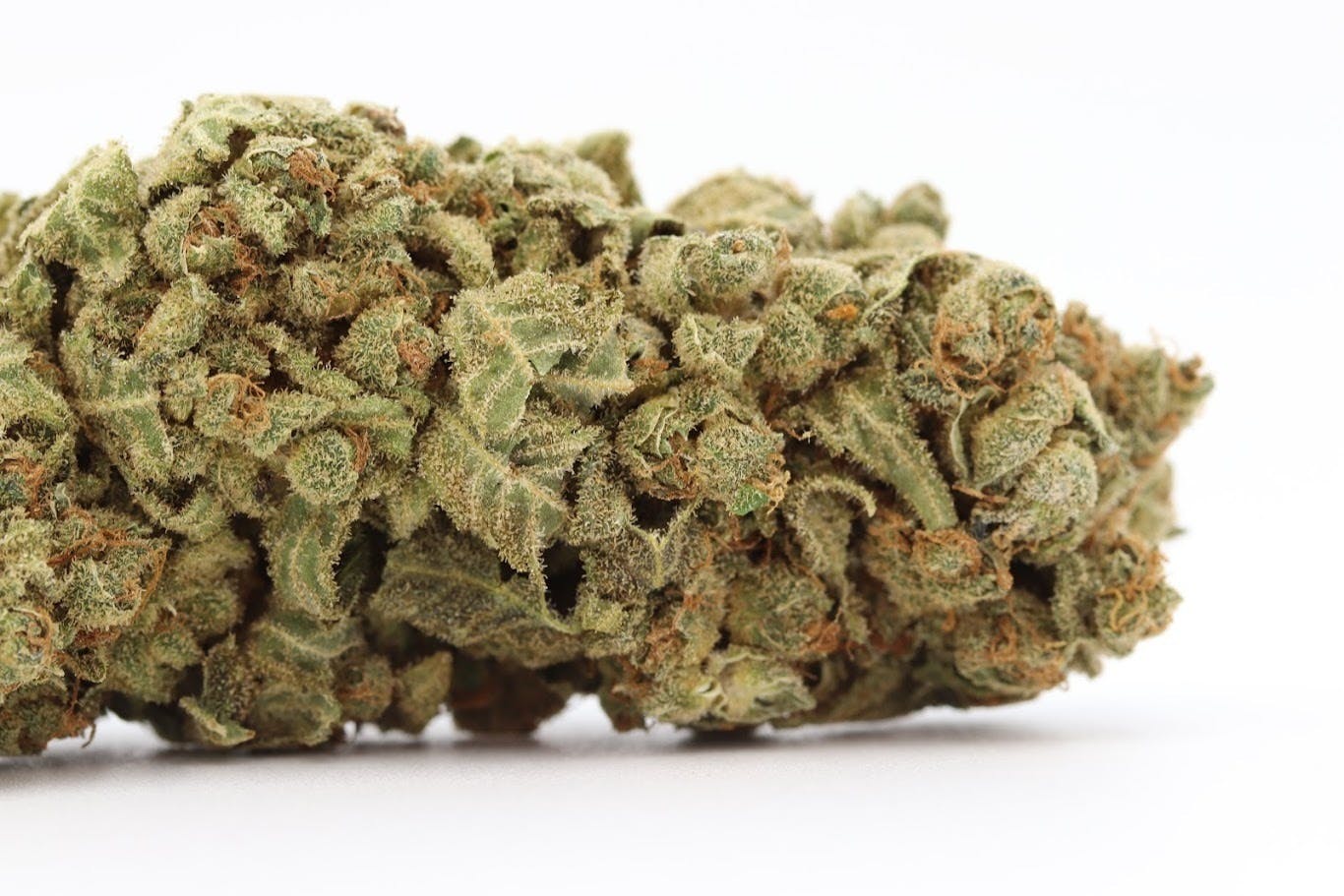 Elevation 207 - Grizzly Purple Kush - 1