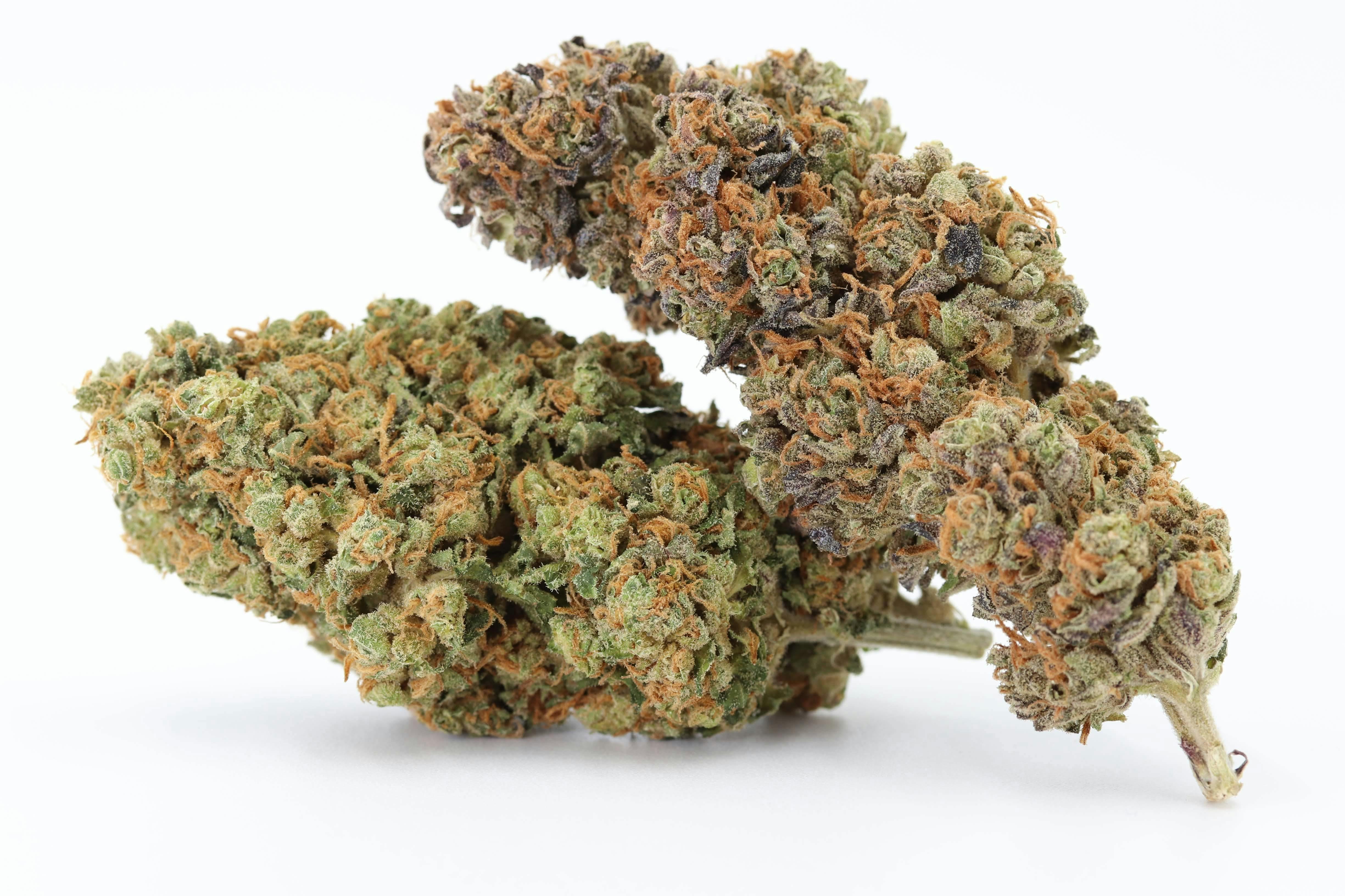 Elevation 207 - Multi Strain Mix-Up - 1