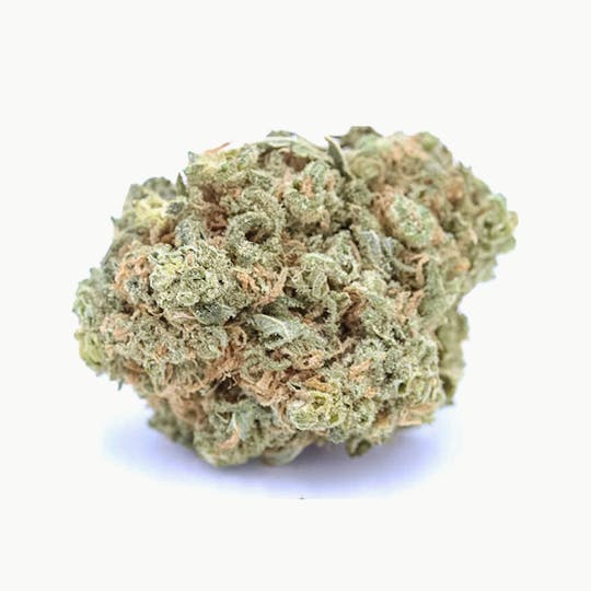 Elevation 207 - Purple Dream - 1