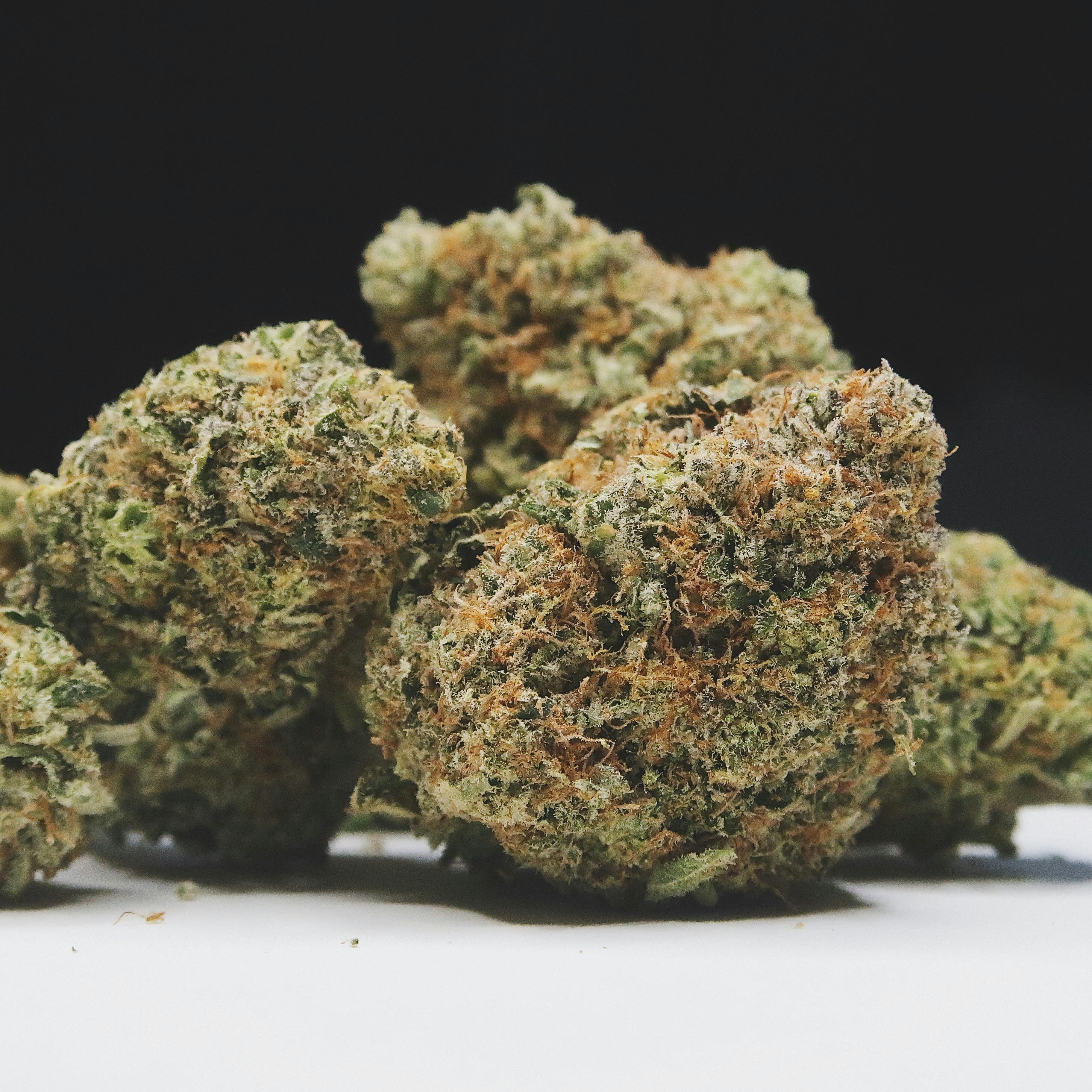 High Tide Organics - 24K Cake - 1