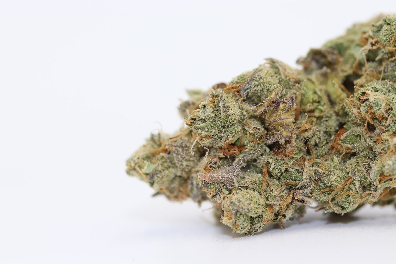 Elevation 207 - Cheese Quake - 1