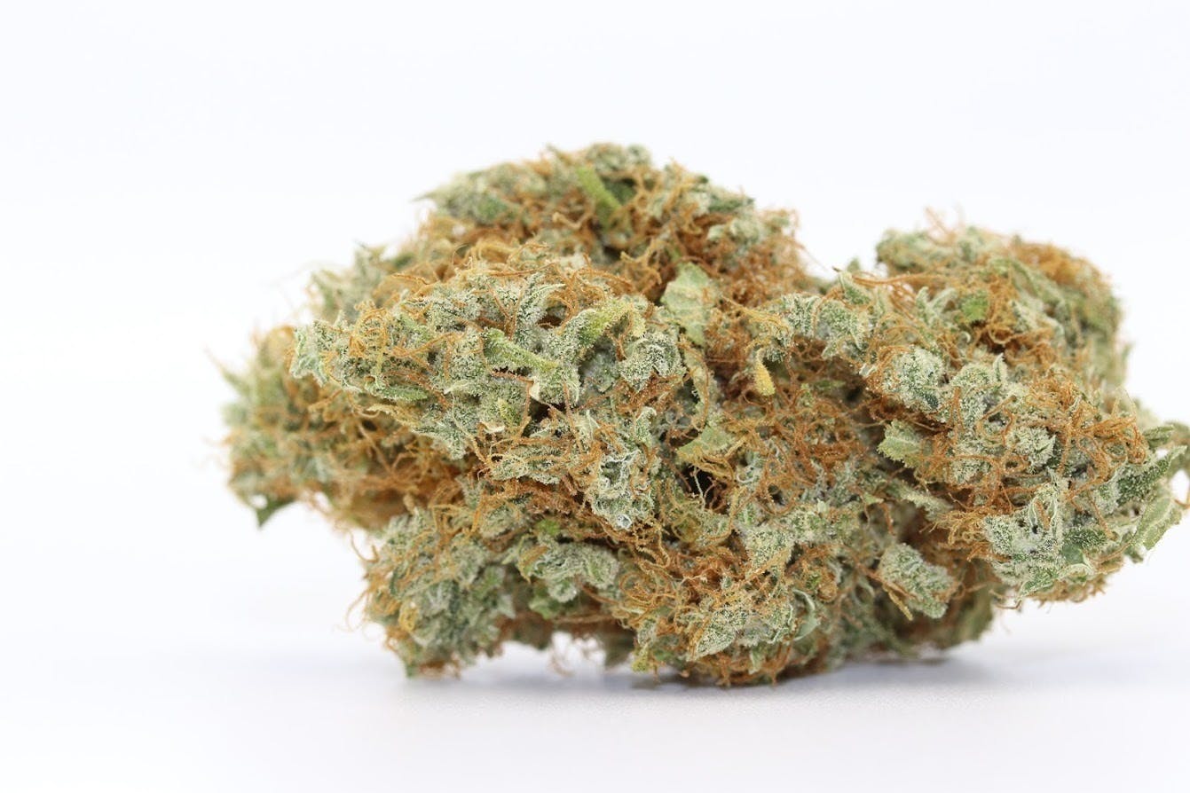 Elevation 207 - Strawberry Widow - 1