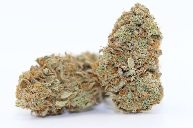 Elevation 207 - Wild Berry - 1
