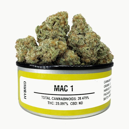 Space Monkey Meds - MAC 1 - 1