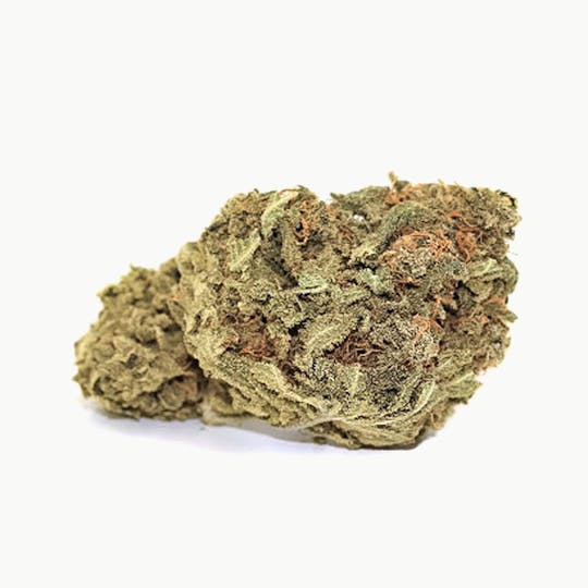Elevation 207 - Bubblegum - 1