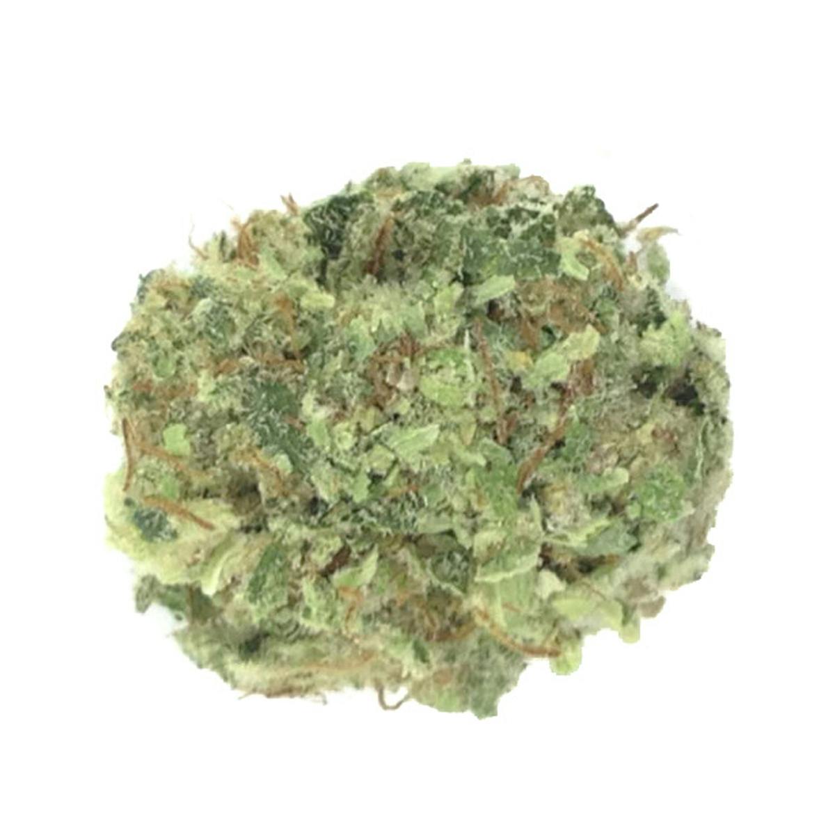 Anani Medical Pharmaceutical - King Kong - 1