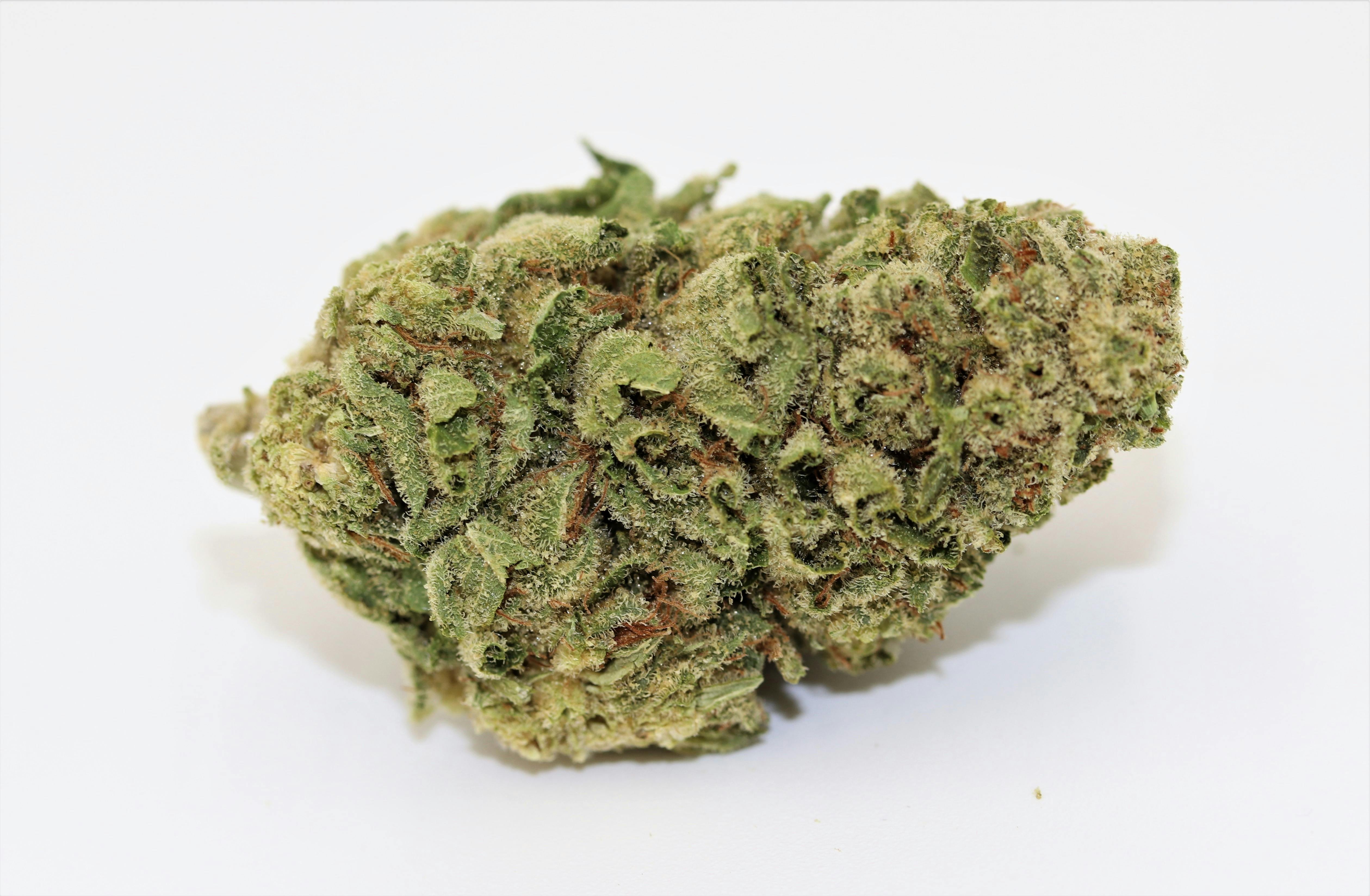 Elevation 207 - Banana OG - 1