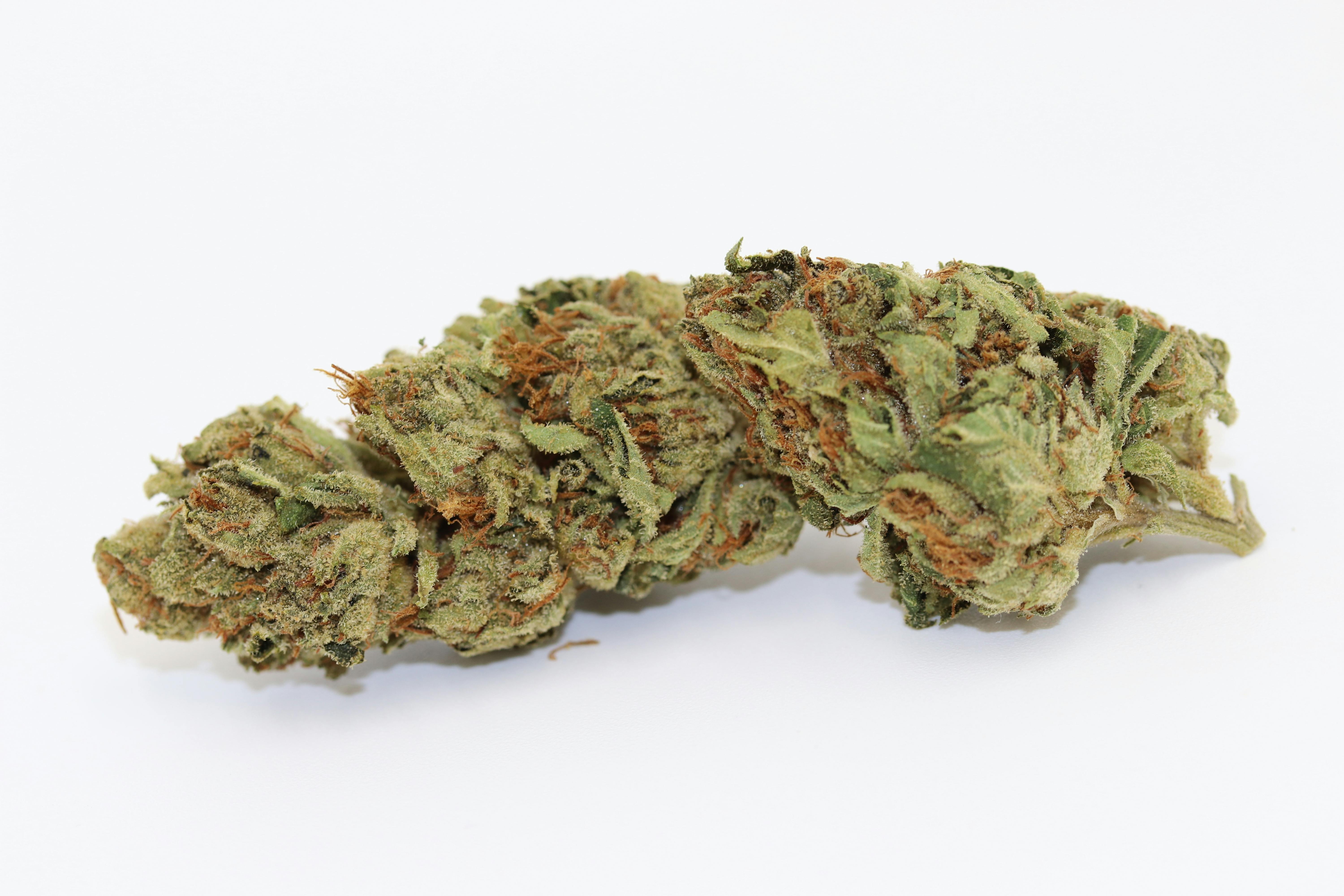 Elevation 207 - Louis XIII - 1