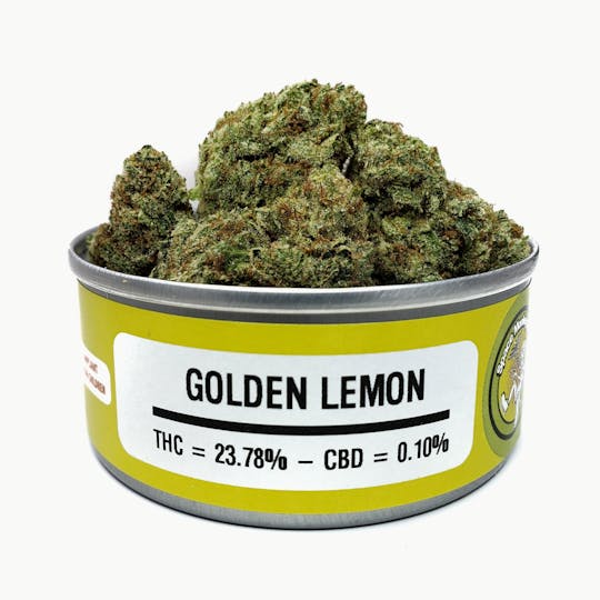 Space Monkey Meds - Golden Lemon - 1