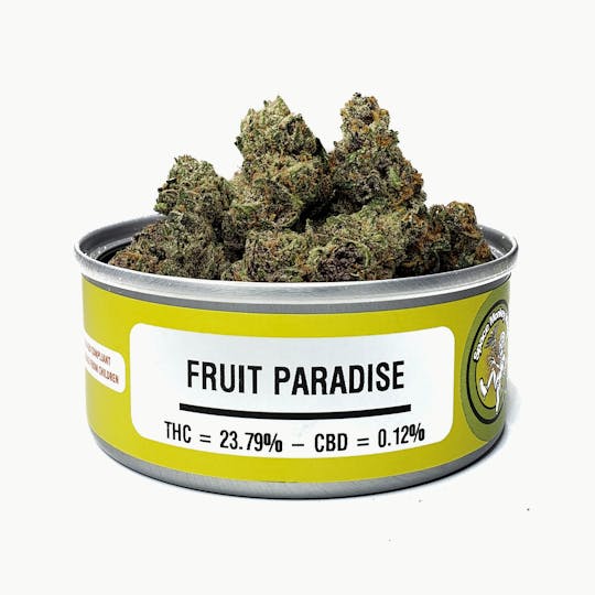 Space Monkey Meds - Fruit Paradise - 1