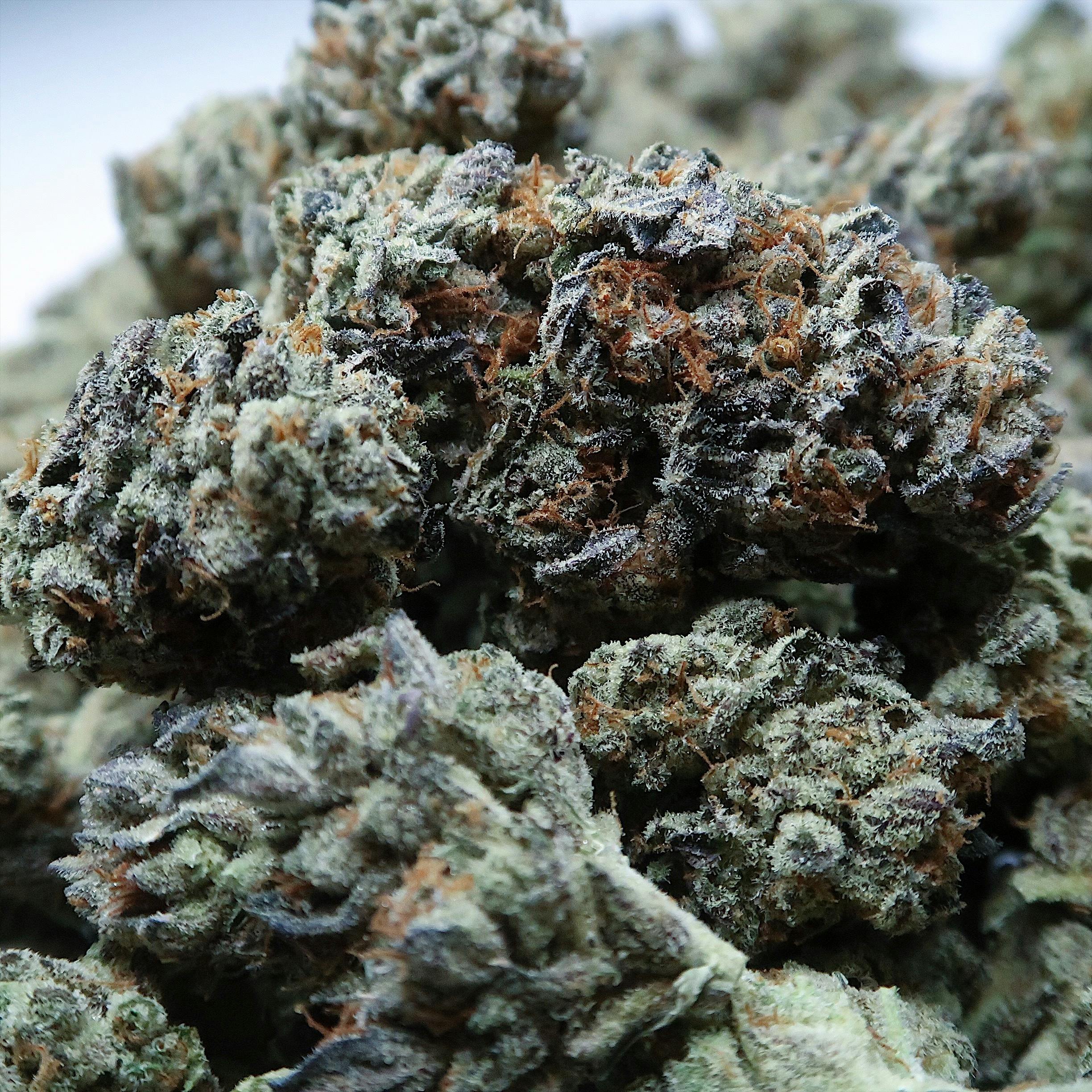 High Tide Organics - FLO OG - 1