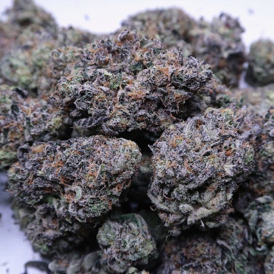High Tide Organics - Cotton Candy Kush - 1