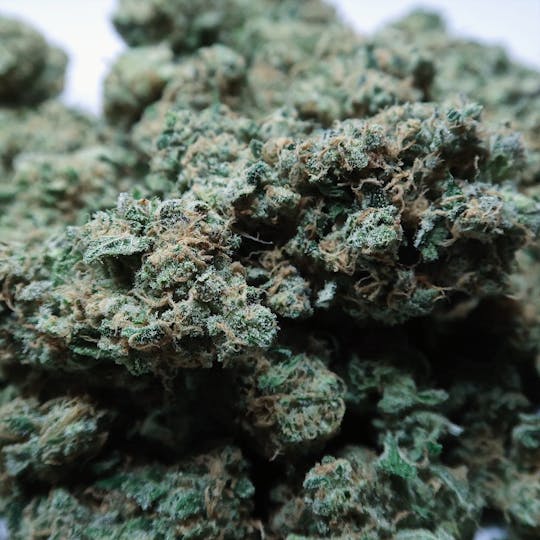 High Tide Organics - Watermelon OG - 1