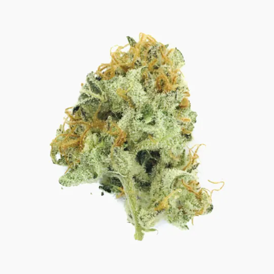 Anani Medical Pharmaceutical - Sensi Matador - 1