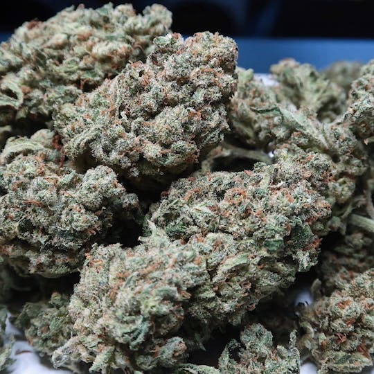 High Tide Organics - Jack Herer grown by DNA Genetics - 1