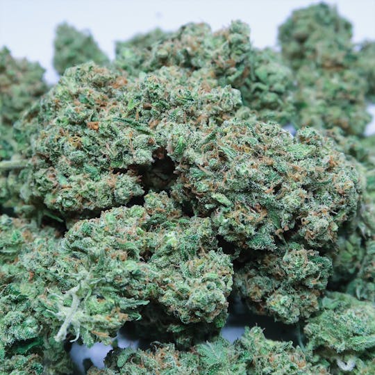 High Tide Organics - Platinum Jack - 1