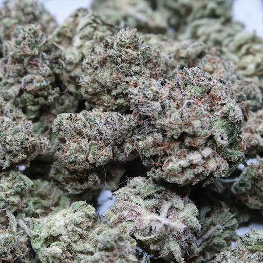 High Tide Organics - Brasperry Sherbert Nameless Genetics - 1