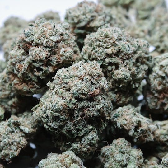 High Tide Organics - Banana Sherbert - 1