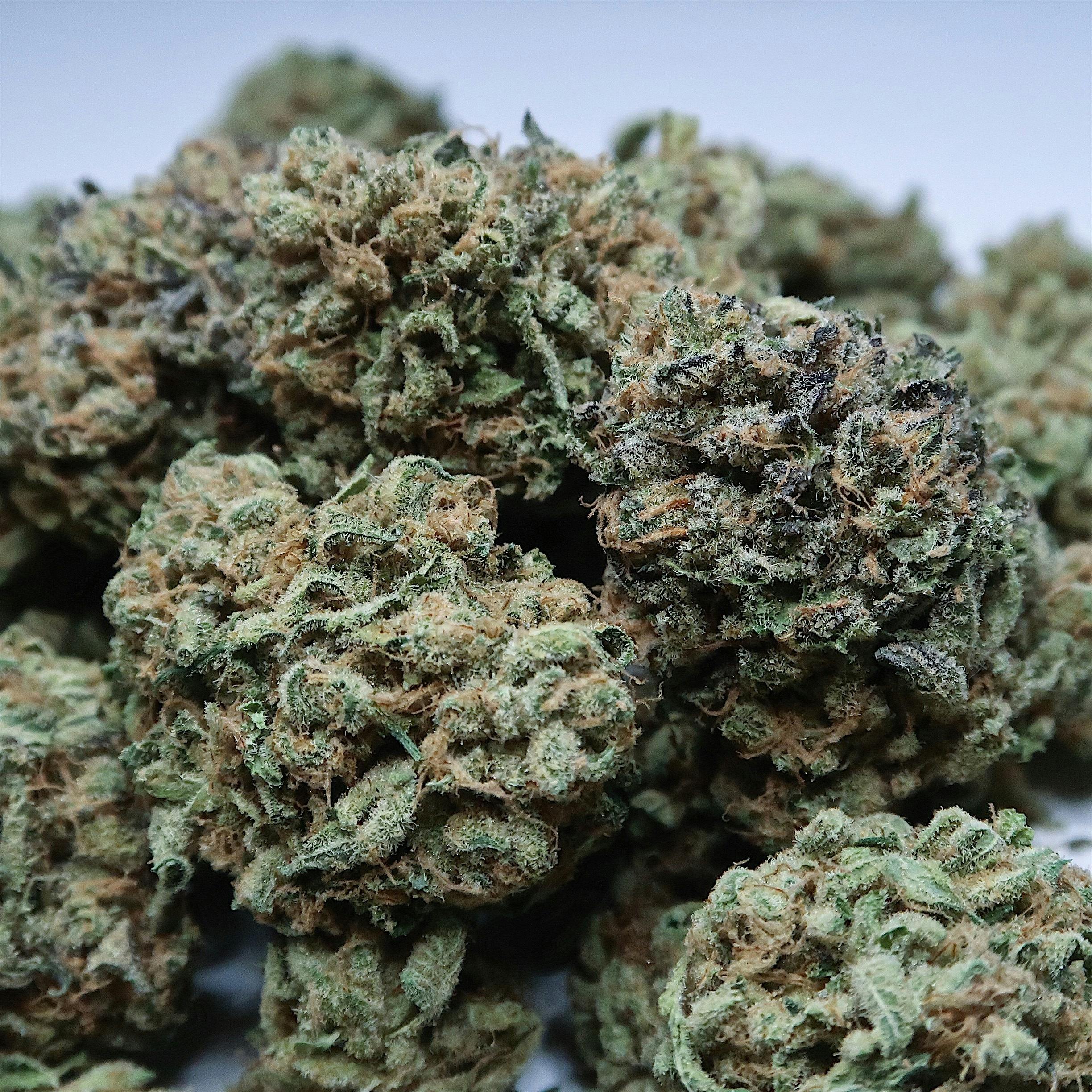 High Tide Organics - Lemonade - 1